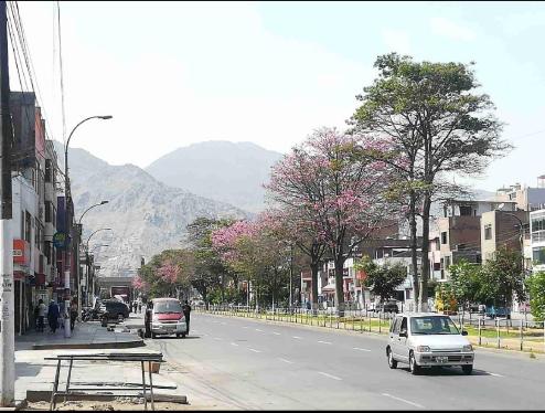 Local comercial de ocasión ubicado en San Juan De Lurigancho