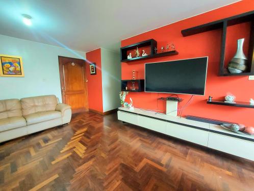 Extraordinario Departamento ubicado en Lince