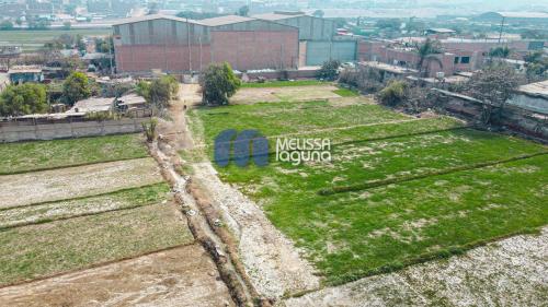 Terreno Industrial barato en Venta en Lurigancho