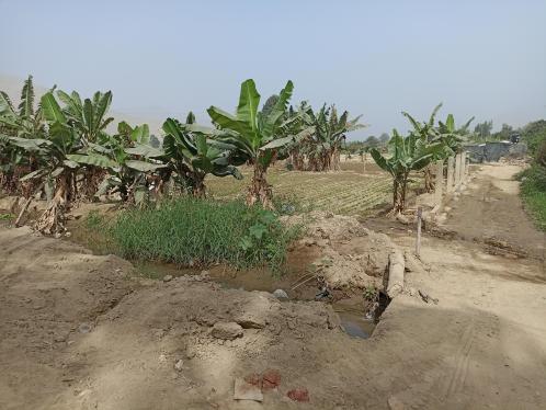 Terreno Agrícola en Venta ubicado en Cieneguilla a $185,000