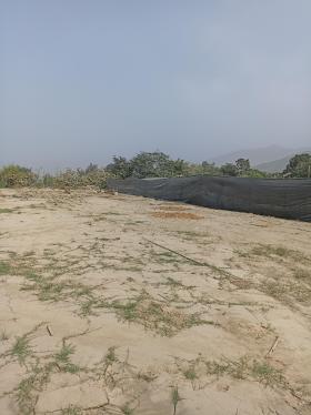 Extraordinario Terreno Agrícola ubicado en Cieneguilla