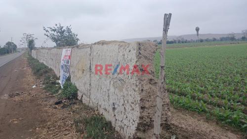 Amplio Terreno ubicado en San Luis