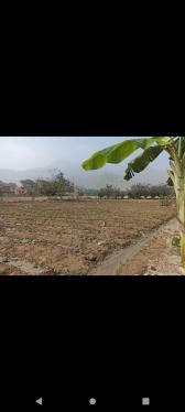 Terreno en Venta ubicado en Pachacamac