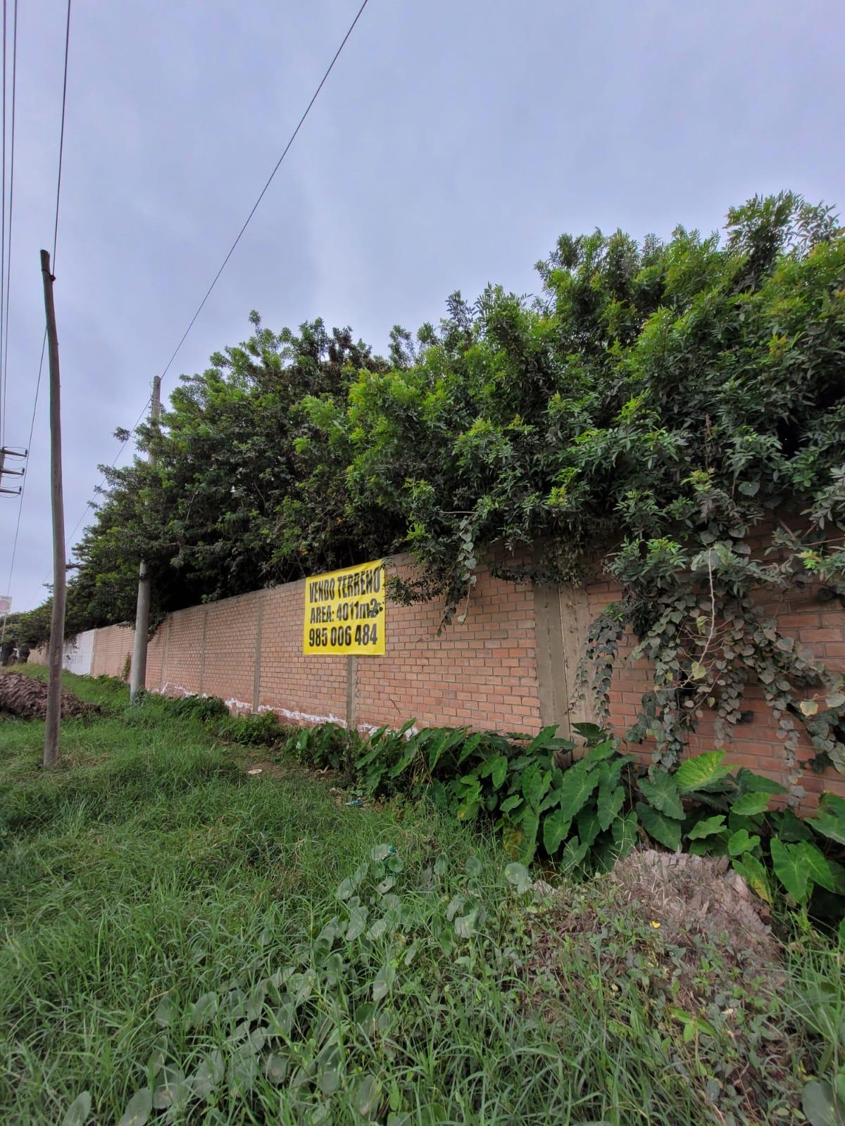 Acceso a mano de obra