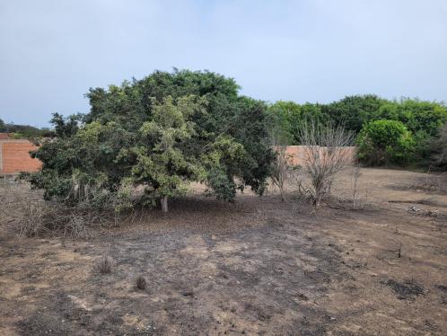 Terreno bien ubicado.