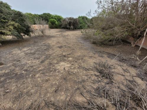 Terreno en Asia