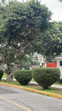 Terreno ubicado en Santiago De Surco al mejor precio