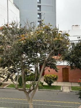 Casa en Alquiler ubicado en San Isidro