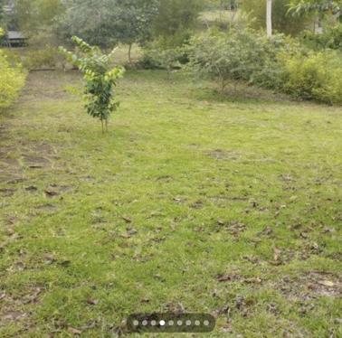 Terreno en Venta ubicado en Cacatachi a $112,000