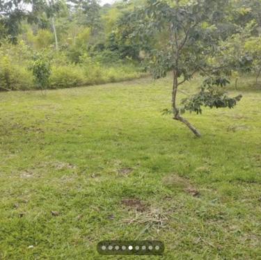 Terreno en Venta ubicado en Cacatachi