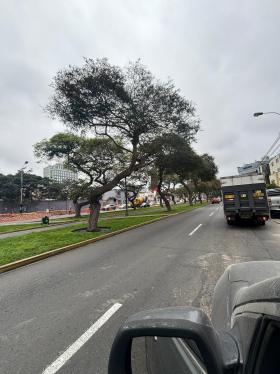 Terreno de ocasión ubicado en San Isidro