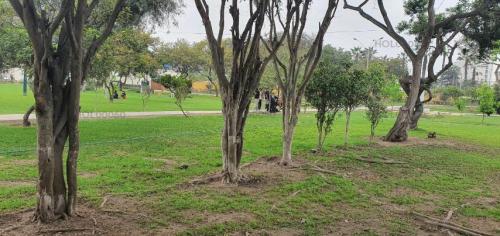 Oportunidad única Casa ubicado en Santiago De Surco