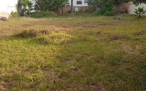 Terreno en Venta ubicado en Alameda De Las Palmas