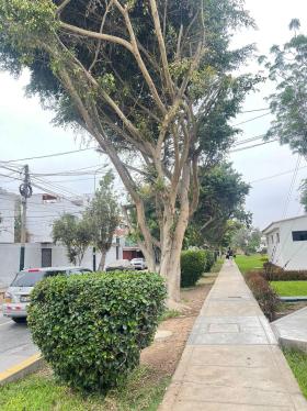 Terreno en Venta ubicado en Santiago De Surco