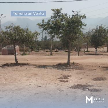 Terreno en Venta ubicado en Cieneguilla