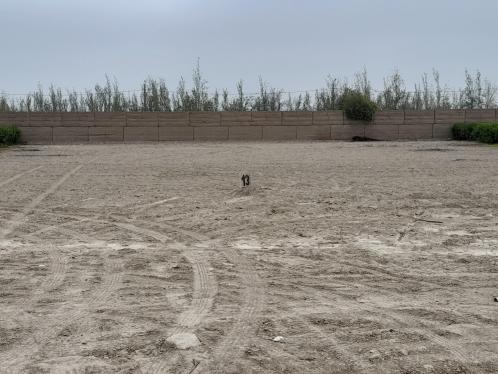 Terreno de ocasión ubicado en El Carmen