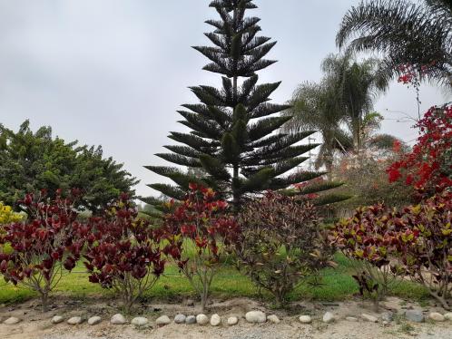 Terreno ubicado en El Carmen al mejor precio