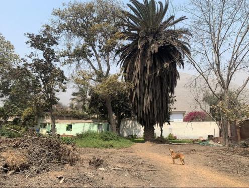 Espectacular Terreno ubicado en Chaclacayo