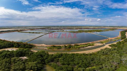 Terreno en Venta ubicado en Tumbes a $435,000