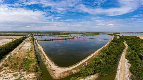 Oportunidad única Terreno ubicado en Tumbes