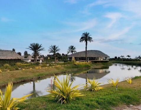 Terreno en Venta ubicado en Chincha Baja