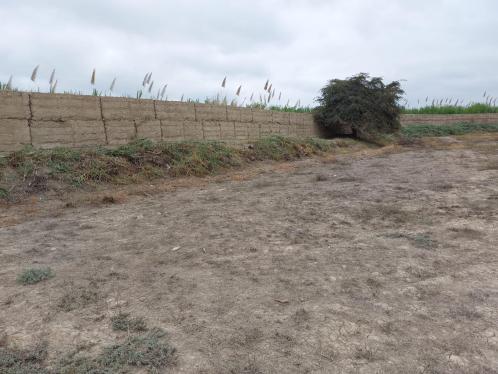 Terreno de ocasión ubicado en El Carmen