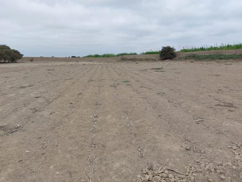 Terreno barato en Venta en El Carmen