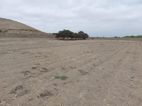 Lindo Terreno en Venta en El Carmen