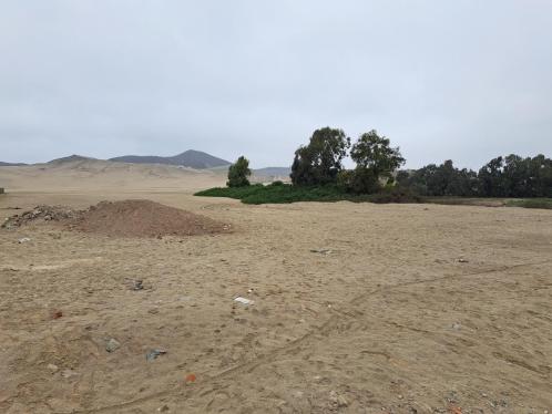 Terreno en Alquiler ubicado en Lurin