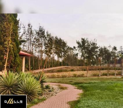 Casa de Campo en Venta y permite mascotas