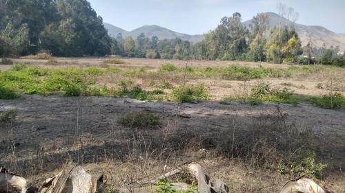 Terreno en Venta ubicado en Pachacamac