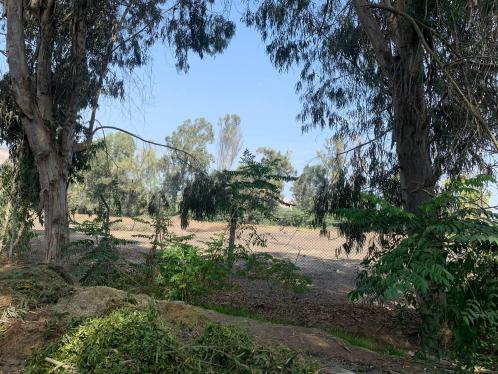 Terreno en Venta ubicado en Pachacamac a $3,000,000