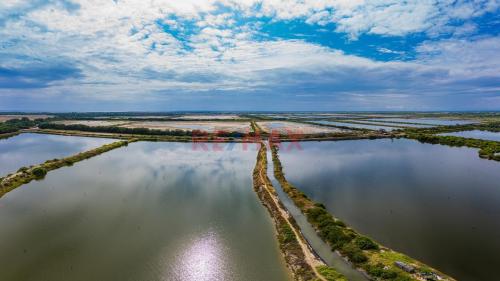 Terreno en Venta ubicado en Tumbes