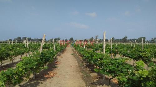 Terreno de ocasión ubicado en Vegueta