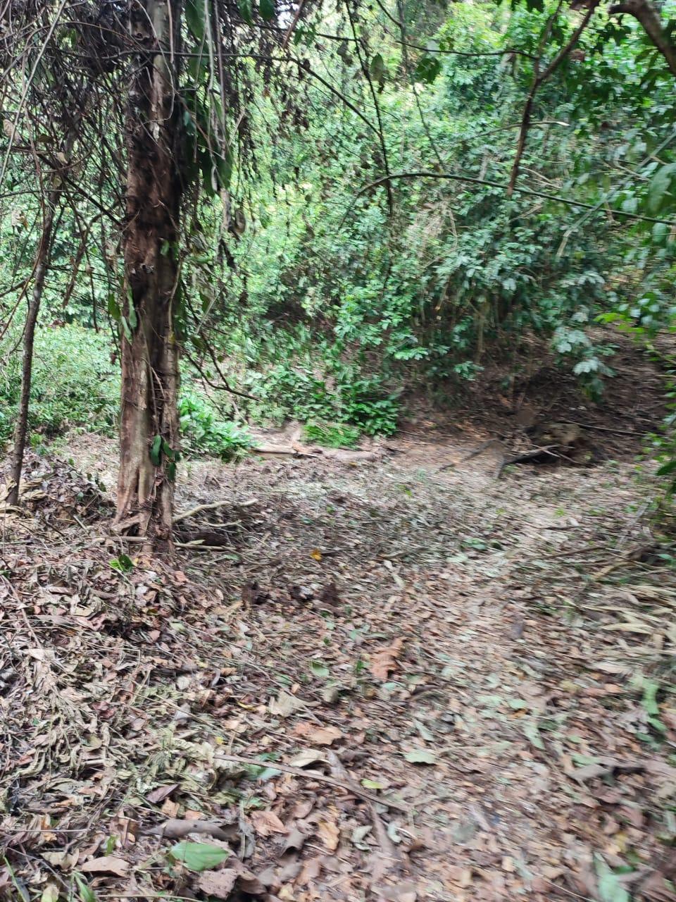 Terreno en Venta ubicado en Teniente Cesar Lopez Rojas a $1,000,000