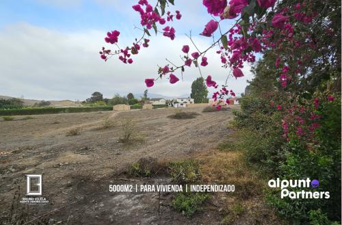 Terreno en Venta ubicado en Pachacamac a $380,000