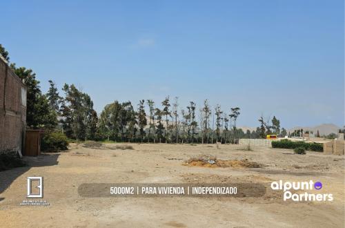 Terreno en Venta ubicado en Pachacamac