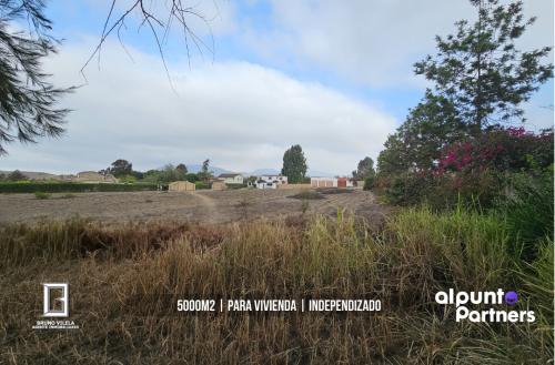 Amplio Terreno ubicado en Pachacamac