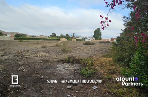 Extraordinario Terreno ubicado en Pachacamac