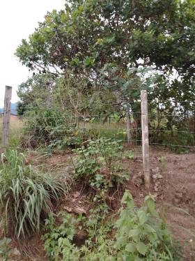 Terreno en Venta ubicado en Tarapoto a $119,000