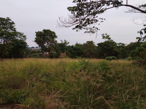 Terreno en Venta ubicado en Tarapoto a $119,000