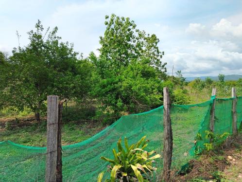 Extraordinario Terreno ubicado en Tarapoto