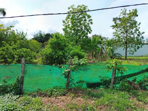 Terreno ubicado en Tarapoto al mejor precio