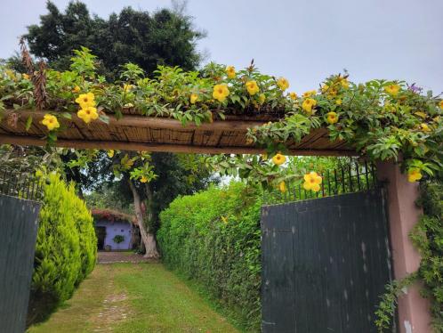 Casa de Campo en Venta y permite mascotas