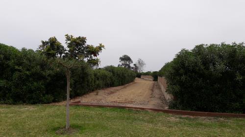 Oportunidad única Terreno ubicado en Asia