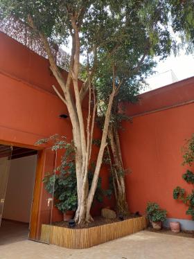 Local comercial en Alquiler ubicado en Barranco a $2,000