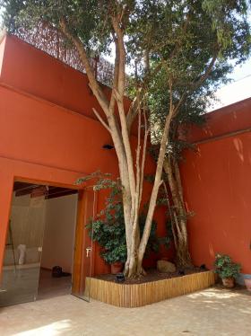 Local comercial a $2,000