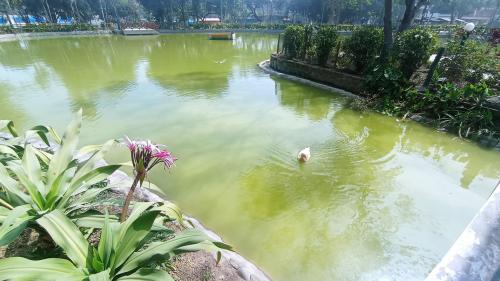 Terreno en Venta ubicado en Los Girasoles Terreno en Venta ubicado en Los Girasoles