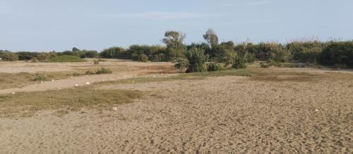 Terreno en Venta ubicado en Pisco a $500,000 Terreno en Venta ubicado en Pisco a $500,000