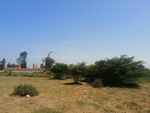 Terreno en Venta ubicado en Pisco Terreno en Venta ubicado en Pisco